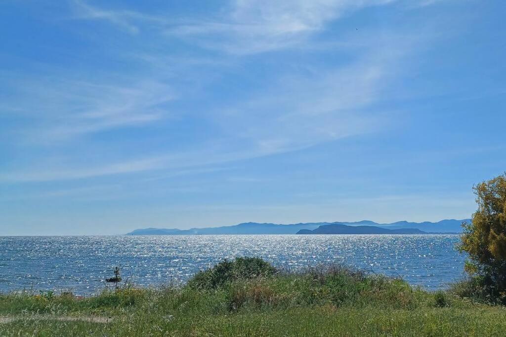 Appartamento Sul Mare Su Forti Eksteriør bilde